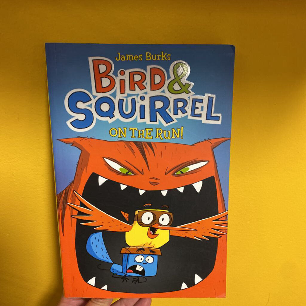 Bird& Squirrel on the run BD