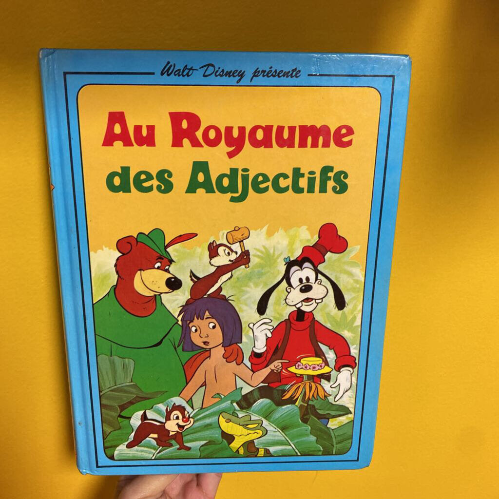 VINTAGE livre Au Royaume des Adjetctifs