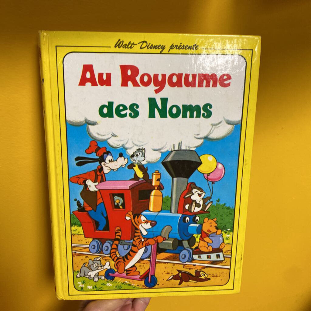 VINTAGE livre Au Royaume des Noms